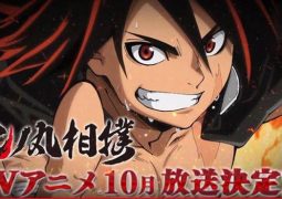 Hinomaru Zumo (anime)